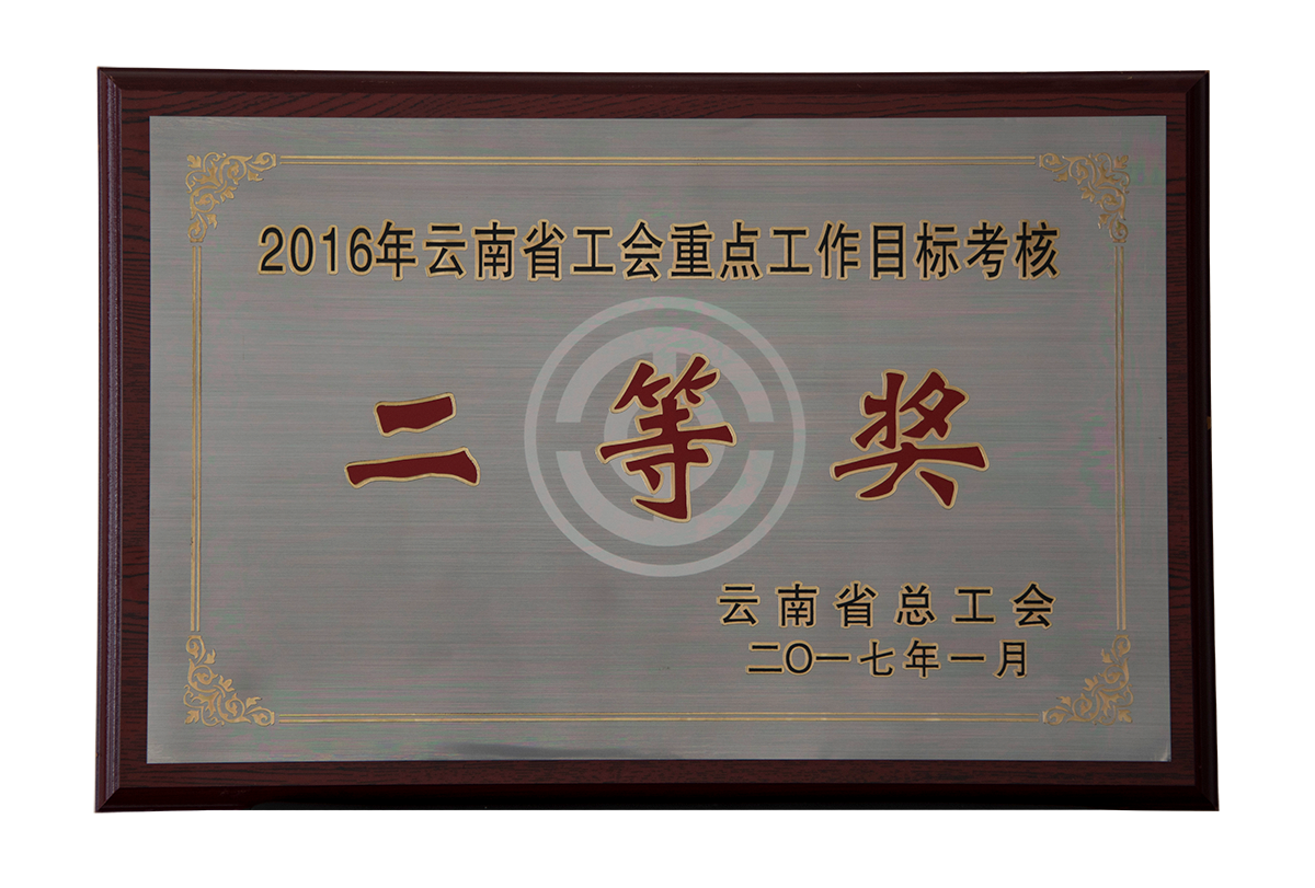 2016年云南省工会重点工作目标考核二等奖