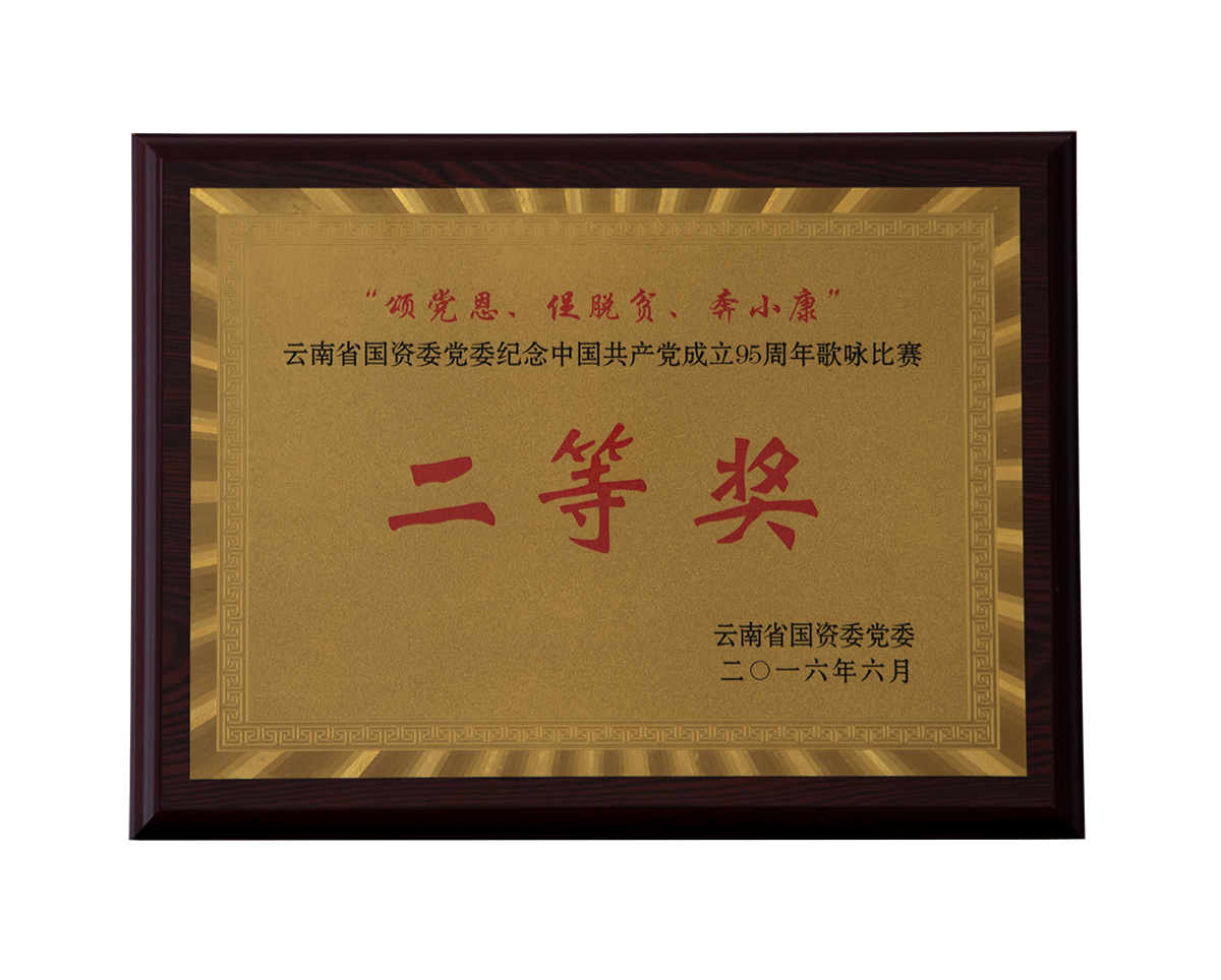 云南省国资委党委庆祝中国共产党成立95周年歌咏比赛二等奖